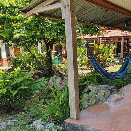 Cabinas Palmer Makanda كويتا المظهر الخارجي الصورة